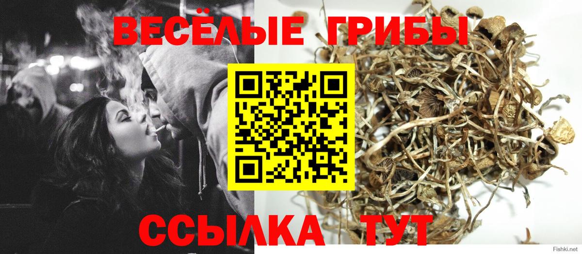 Псилоцибиновые грибы Psilocybine cubensis Калач-на-Дону