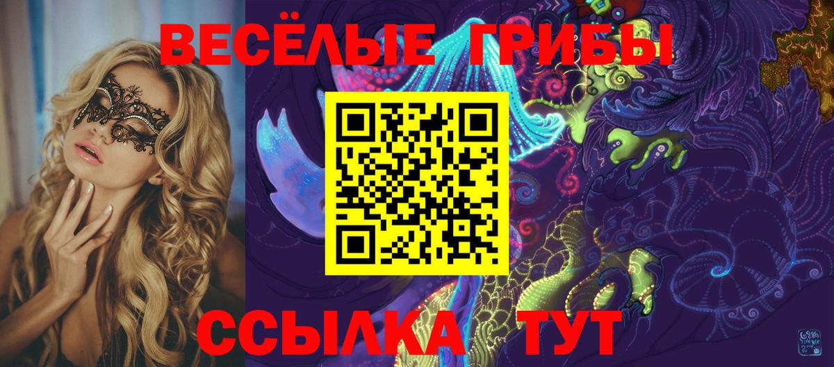 Псилоцибиновые грибы GOLDEN TEACHER  Вход с VPN  Псилоцибиновые грибы Psilocybine cubensis  Калач-на-Дону 